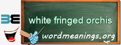 WordMeaning blackboard for white fringed orchis